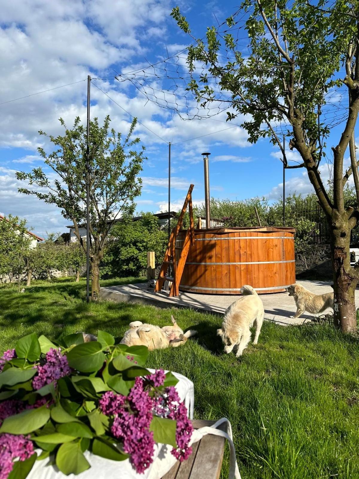 Casa Din Deal Sibiu Exterior foto